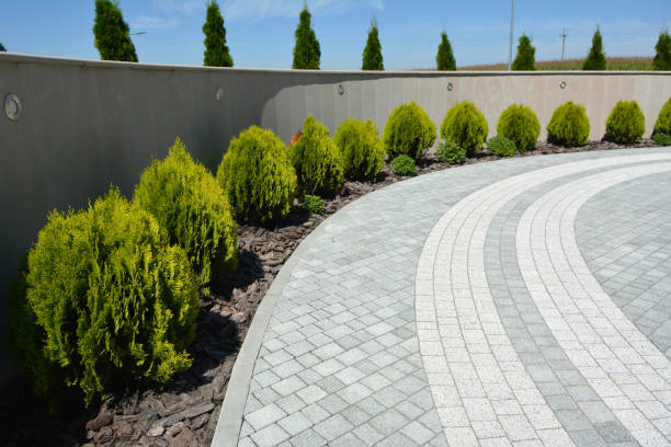 Reasons to Select Us for Your Driveway Paving Requirements in Great Falls, MT